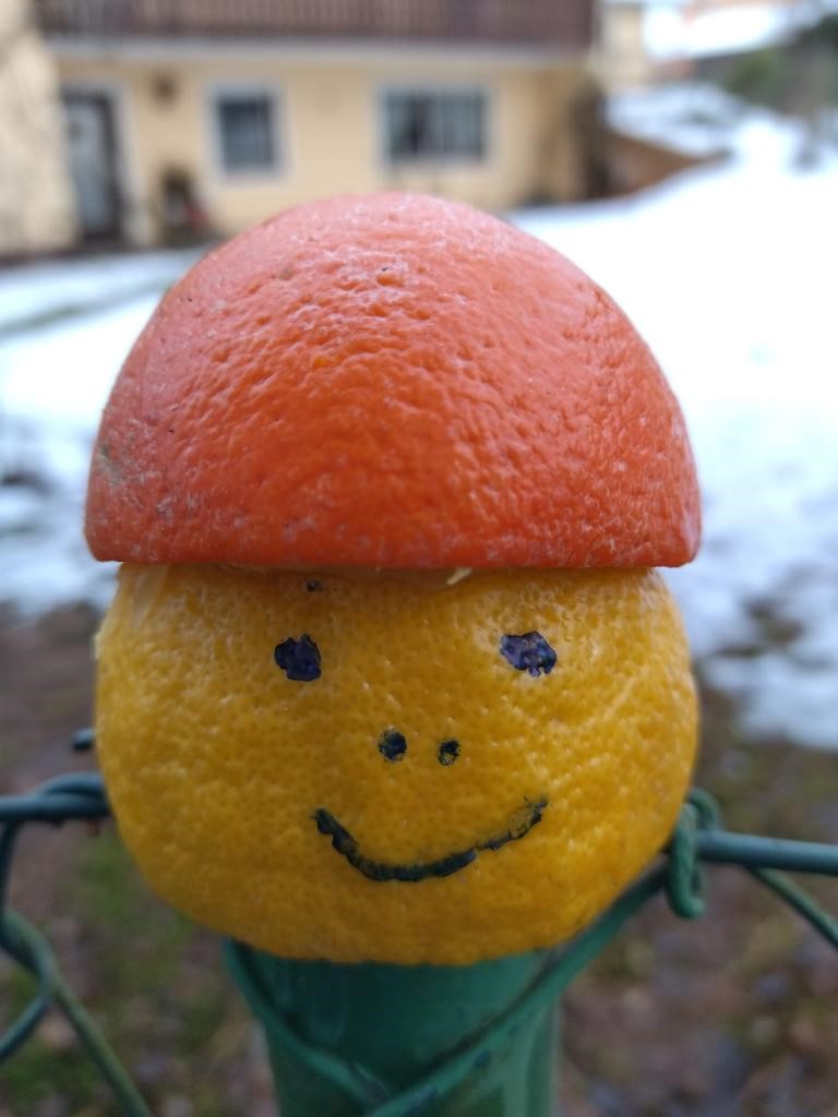 orangenmann